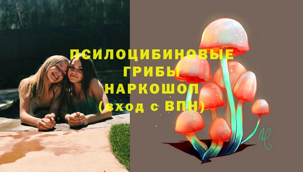 2c-b Алексеевка