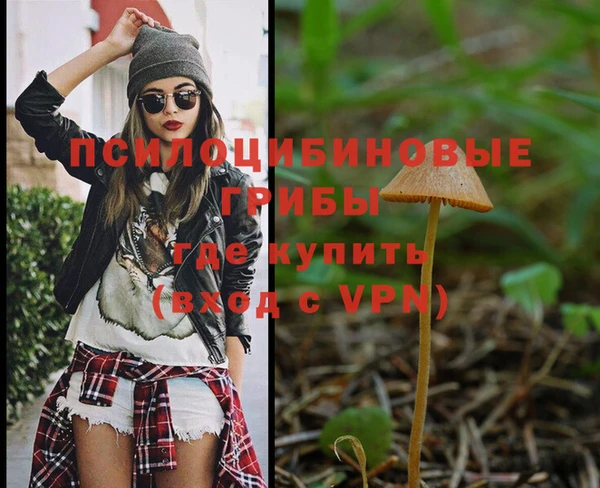 2c-b Алексеевка