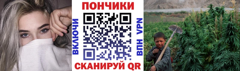 Конопля MAZAR  Данков 
